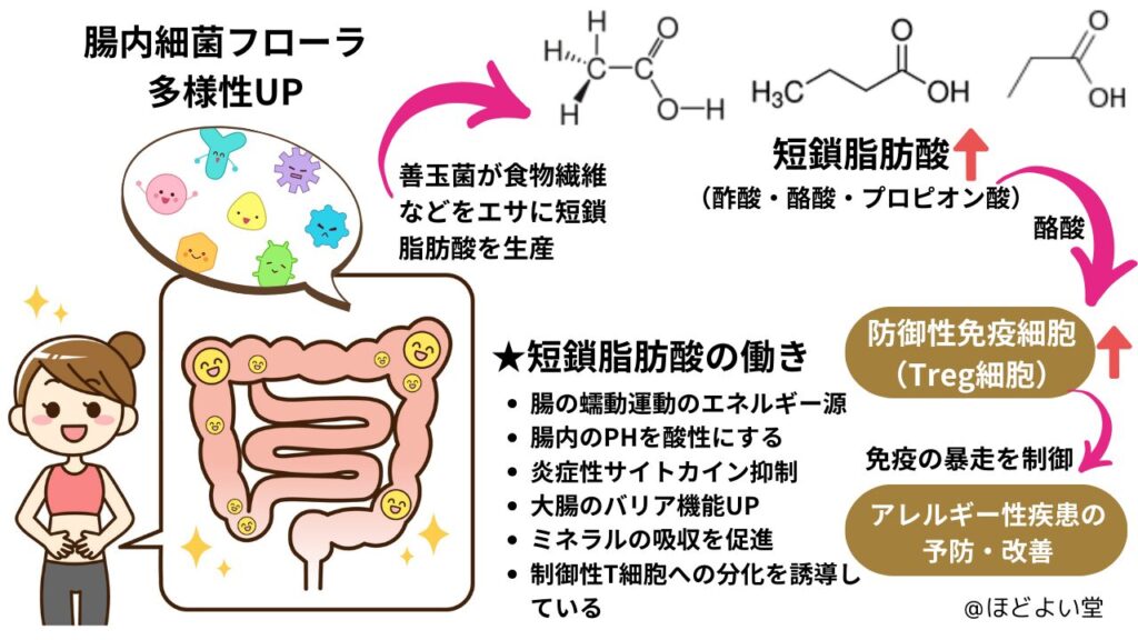 ほどよい堂の腸内細菌・腸内フローラ改善と短鎖脂肪酸による免疫サポート紹介画像