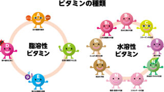 漢方薬剤師が教える「炎症対策と腸活」：ビタミンDと善玉菌の力で免疫力アップ！