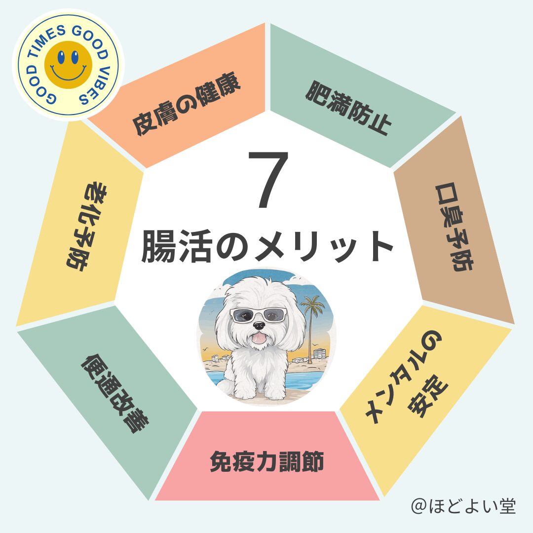 腸活フローチャート