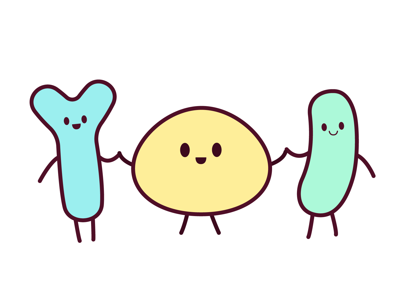 発酵食品・食物繊維と腸内細菌のイメージ