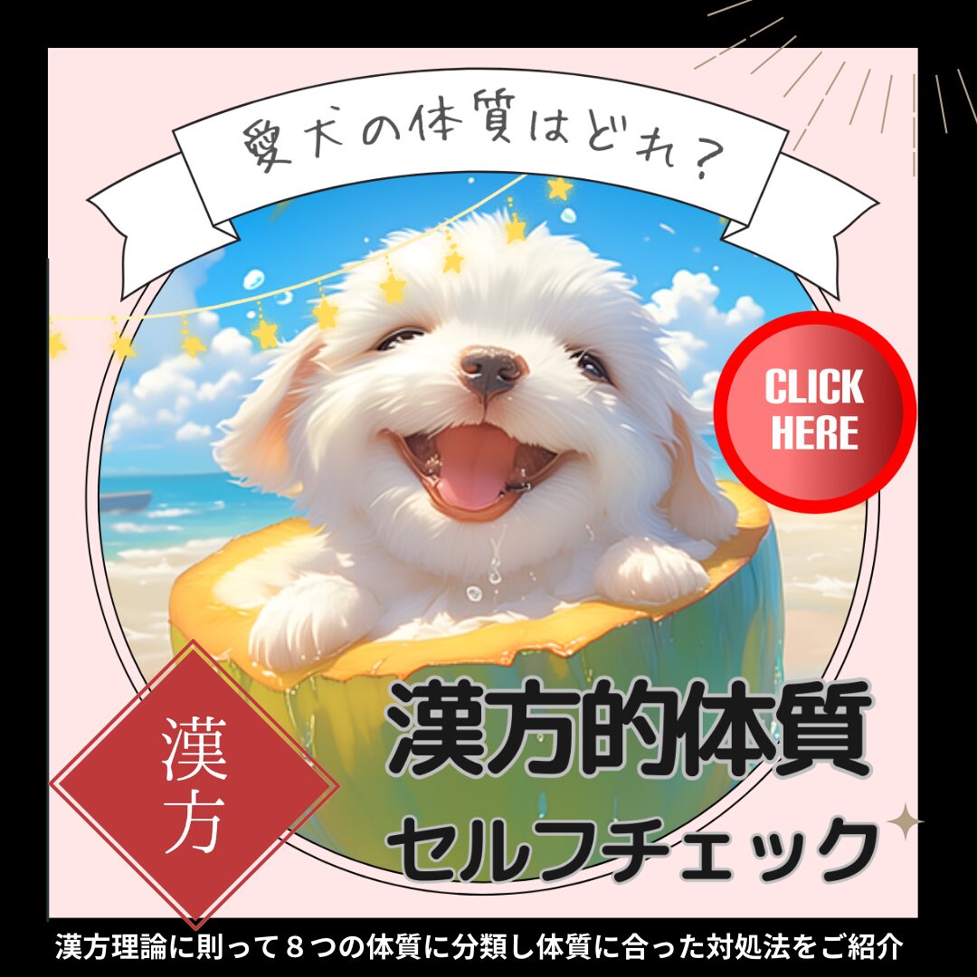 犬の体質セルフチェック|あなたの体質は?!