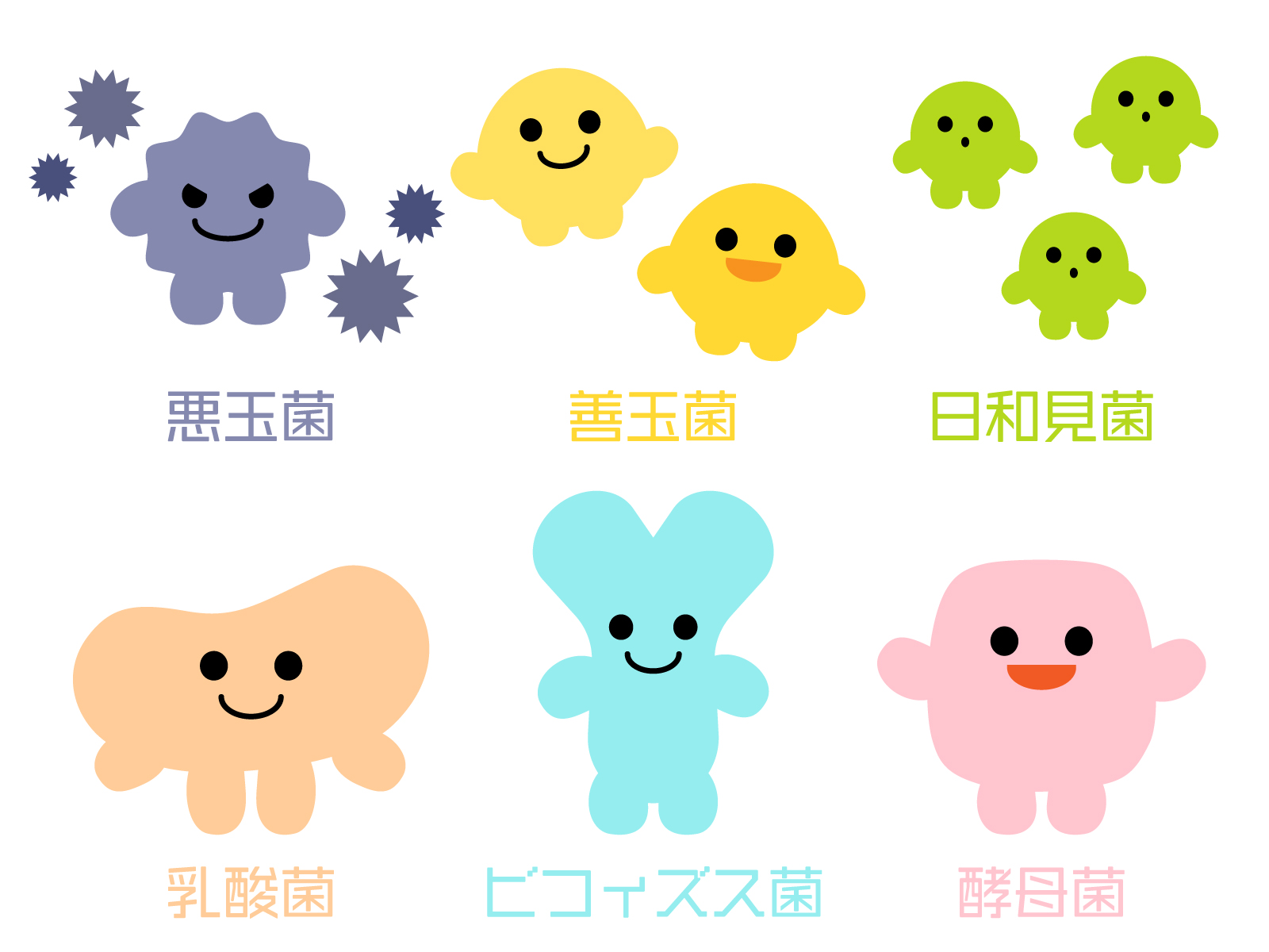 腸内環境を整える善玉菌・悪玉菌・日和見菌のイラスト|乳酸菌・ビフィズス菌・酵母菌の関係