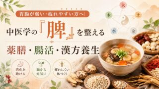 胃腸が弱い・疲れやすい方へ|中医学の「脾」を整える薬膳・腸活・漢方養生
