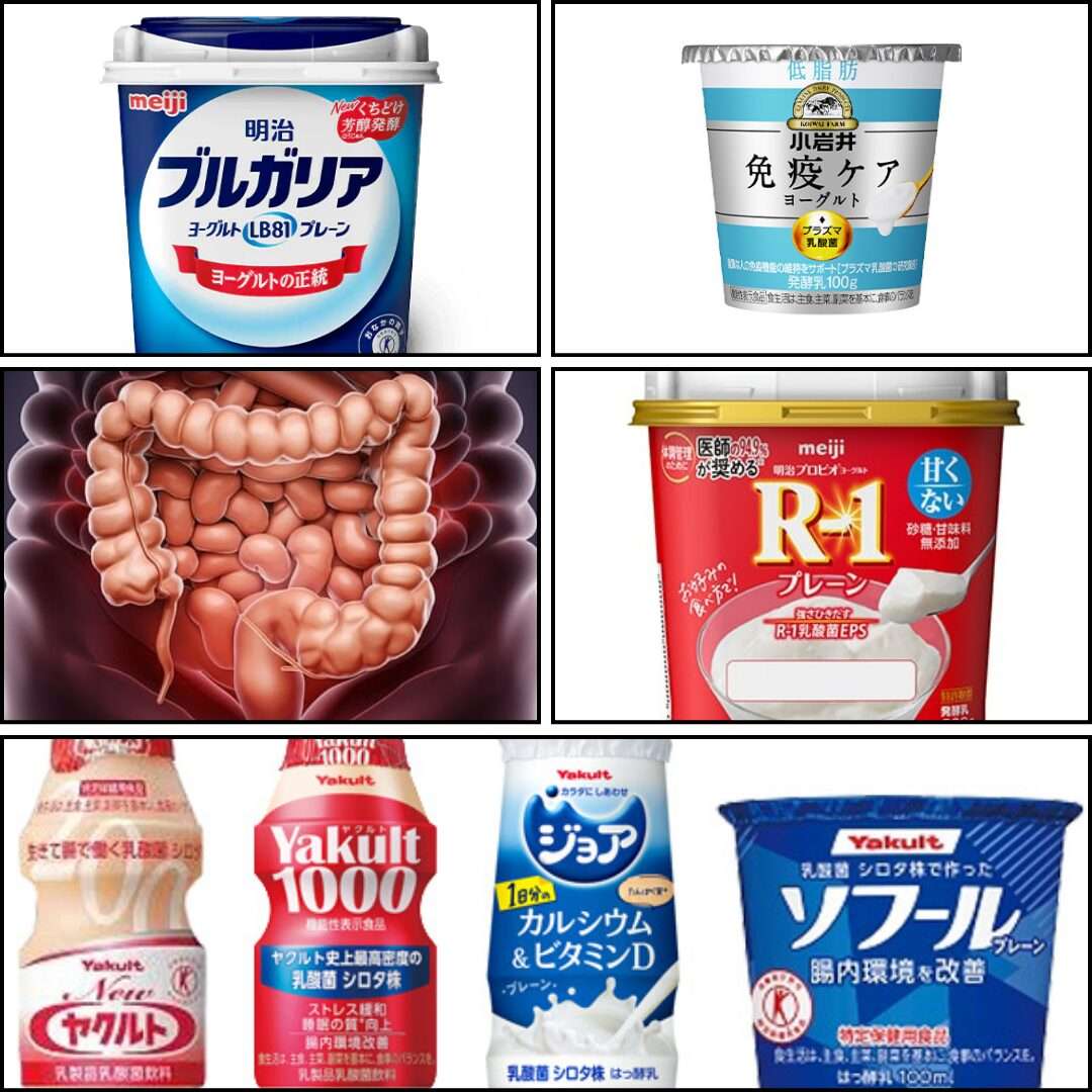 「ほどよい堂での漢方相談風景と腸活におすすめのヨーグルト|宮崎県川南町の漢方薬局」