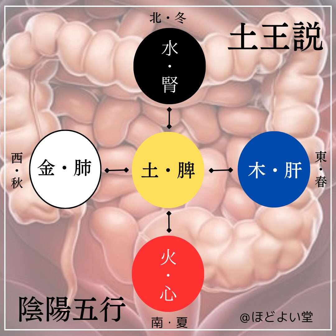 土王説とは？脾胃と腸活から整える季節の変わり目の漢方養生 | 宮崎県