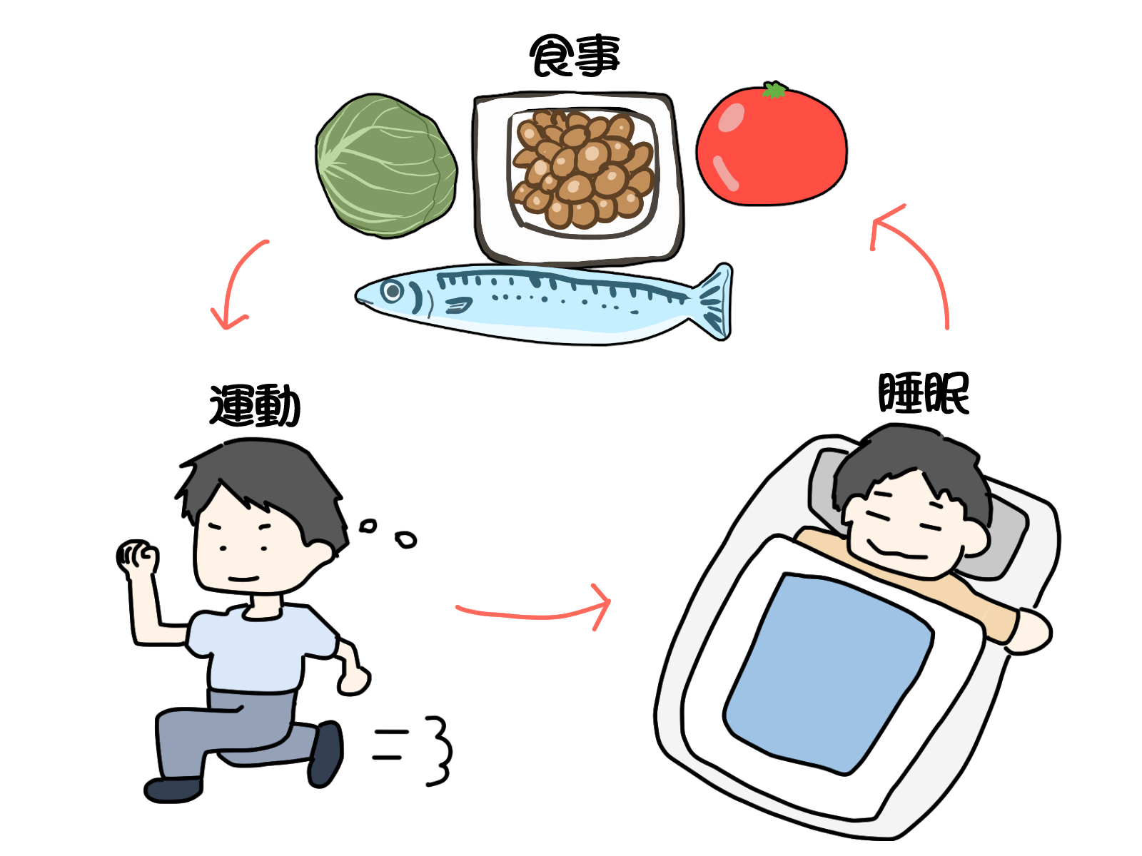 健康の基本となる食事・運動・睡眠のバランスを示すイラスト｜生活習慣改善のサイクル