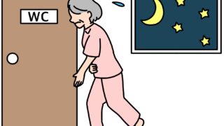 繰り返す膀胱炎・頻尿に！漢方相談で見つけるあなたに合った解決策