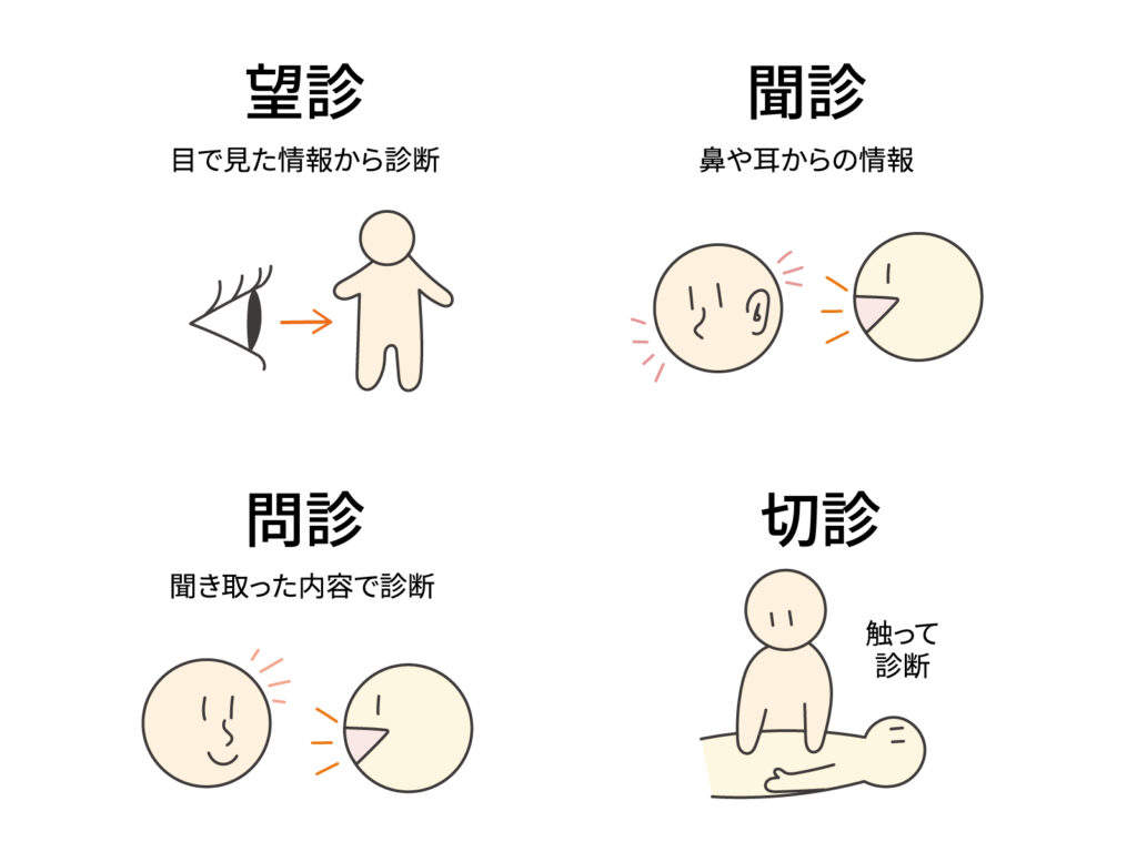 中医学の四診（望診・聞診・問診・切診）を示すイラスト｜弁証論治の基本プロセス