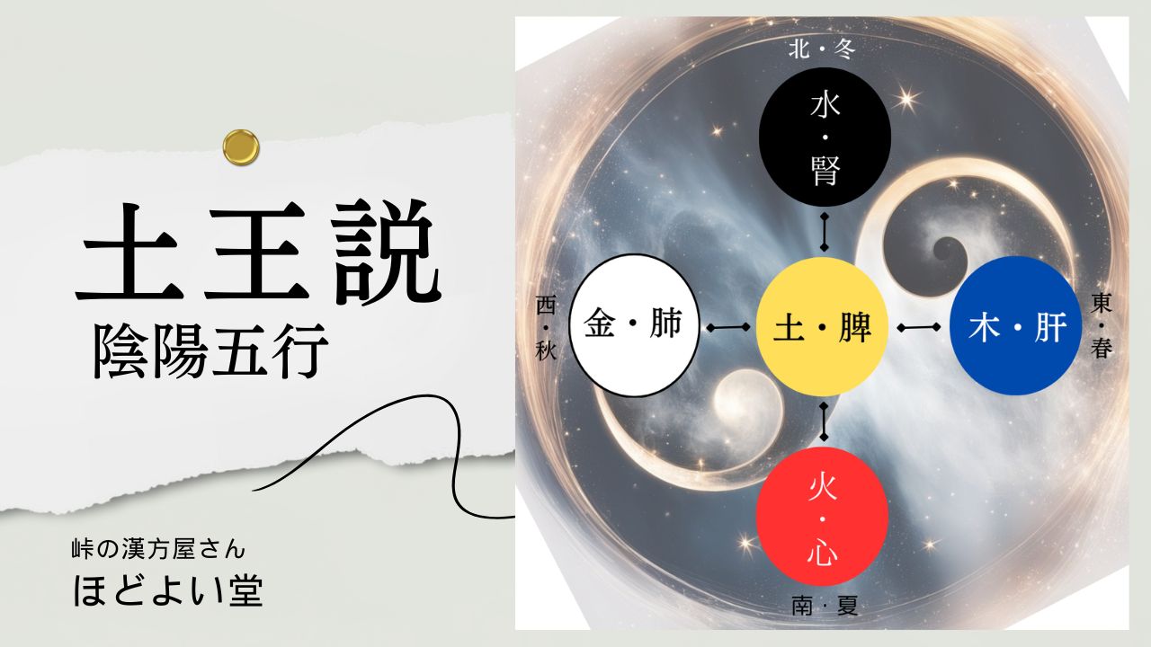 土王説（脾＝土）｜胃腸が整うと気血水が巡る