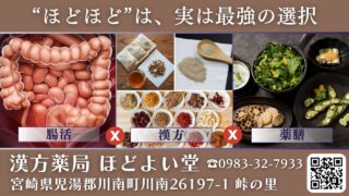 【薬剤師が解説】漢方とは？西洋医学との違いと体質改善の始め方｜宮崎県 川南町・ほどよい堂