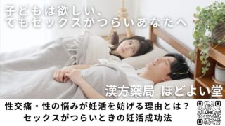 子どもは欲しい、でもセックスがつらいあなたへ──性交痛・性の悩みの妊活に役立つ漢方・腸活・シリンジ法完全解説