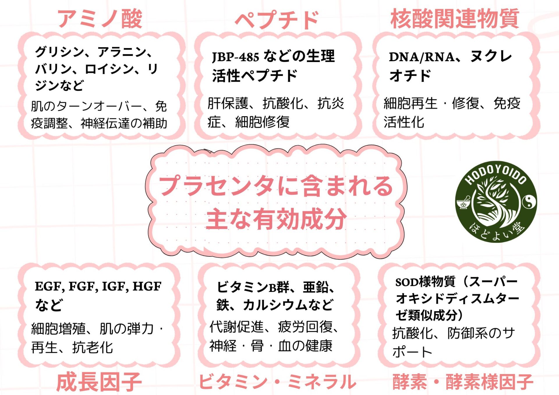 プラセンタに含まれる主な有効成分の説明画像