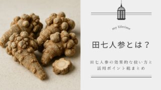 田七人参とは何か？─中医学・臨床・現代研究から見る効能と実例集｜止血と活血を併せ持つ奇跡の生薬