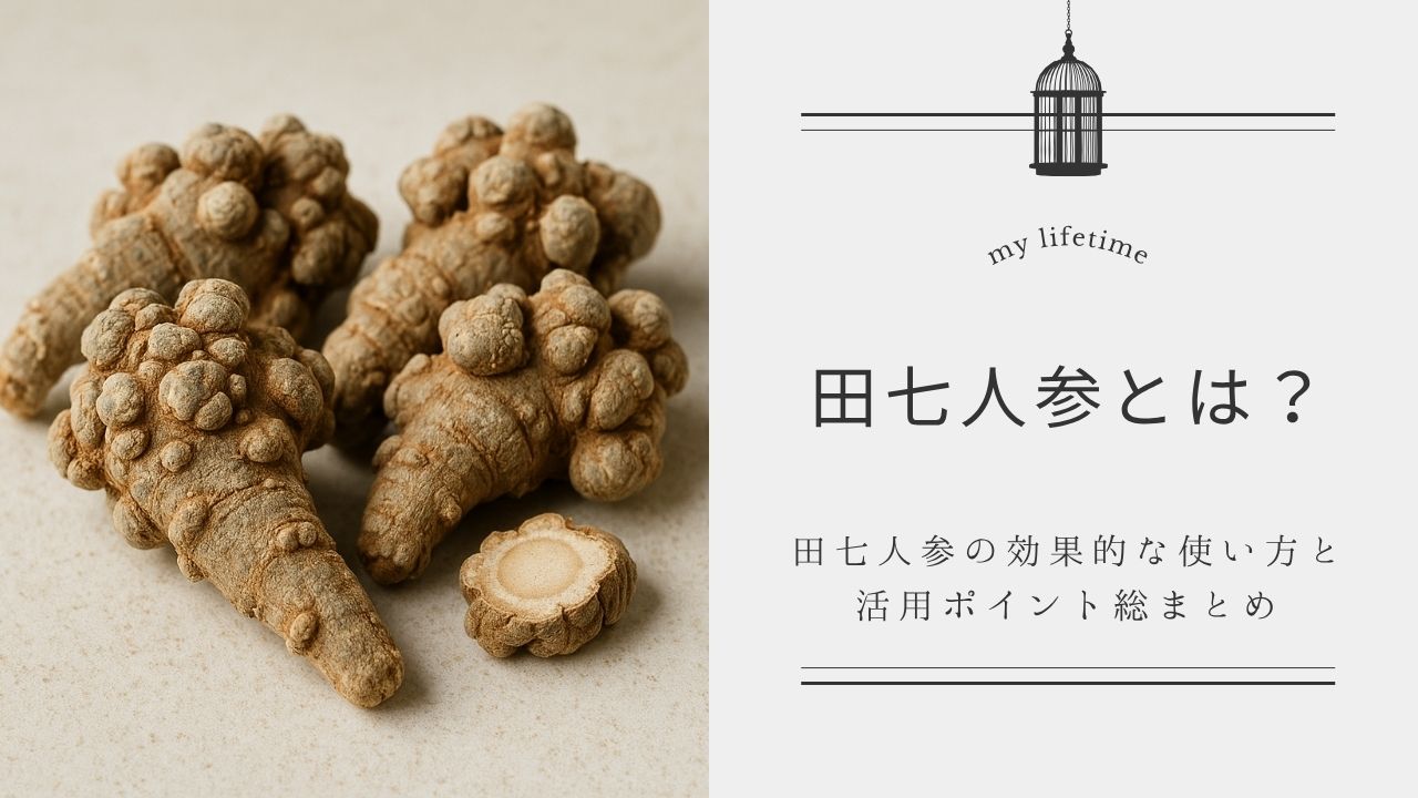 田七人参とは？効果・副作用・飲み方を薬剤師が解説｜血流ケアと漢方 