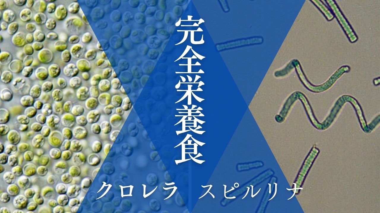 クロレラとスピルリナの比較イメージ（ほどよい堂）
