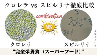 クロレラ vs スピルリナ徹底比較｜栄養価・健康効果・腸活・美容・ダイエット・安全性・選び方・おすすめ摂取法まで丸わかり──宮崎県川南町「ほどよい堂」のLINE無料漢方相談であなたに最適なスーパーフードを診断