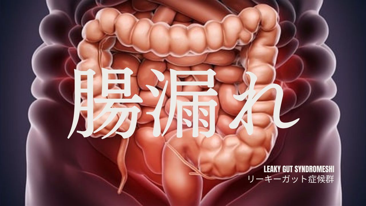 リーキガット症候群の改善を目指す腸活サポート|ほどよい堂の紹介画像