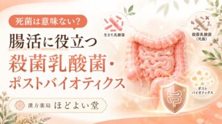 死菌は意味ない？腸活に役立つ殺菌乳酸菌・ポストバイオティクスを薬剤師が解説