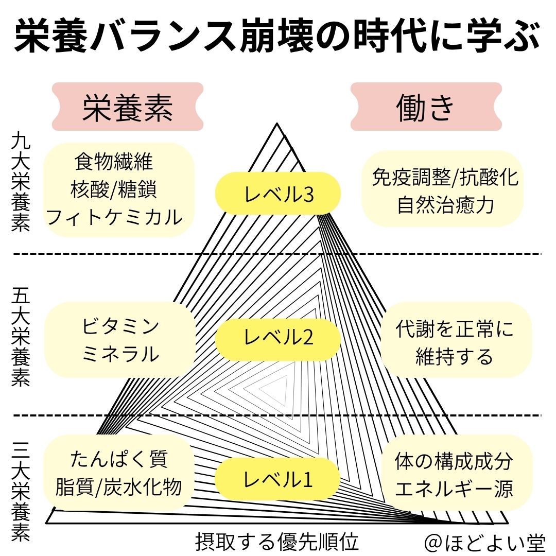 新型栄養失調で不足しやすい栄養素の優先順位を示すピラミッド図