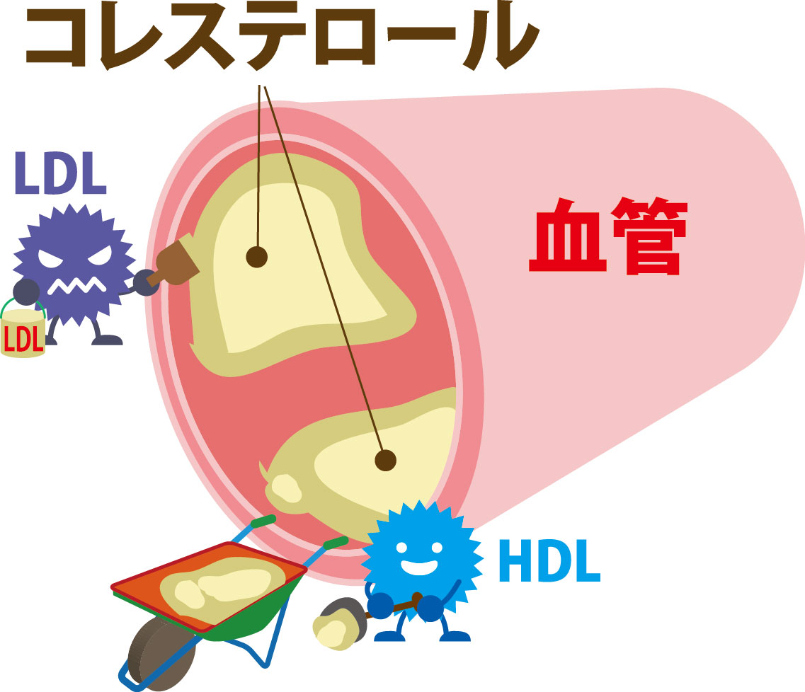 漢方と薬膳で体質を整えるイメージ