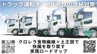 【トラック運転手・40代男性の便秘対策】食生活の乱れを“脾胃”から立て直す腸活ガイド｜クロレラ食物繊維×土王説で快腸を取り戻す実践ロードマップ｜宮崎県・ほどよい堂のLINE無料漢方相談