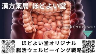 腸から整う、心と体の調和：ほどよい堂オリジナル腸活ウェルビーイング戦略｜リーキーガットから考える現代人の腸トラブル対策