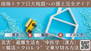 【2025年最新版】南海トラフ巨大地震への備え完全ガイド｜災害・避難生活を“中医学（漢方）×腸活×クロレラ”で乗り切る方法と〈ほどよい堂LINE無料漢方相談〉活用術