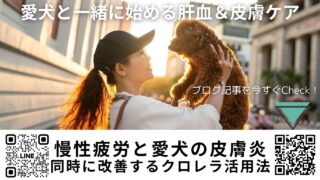 【愛犬と一緒に始める肝血＆皮膚ケア】30代女性ペットオーナー必見｜慢性疲労と愛犬の皮膚炎を同時に改善するクロレラ活用法と安全な容量目安｜宮崎県・ほどよい堂LINE無料漢方相談