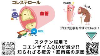 高コレステロール血症でスタチン服用者必見｜コエンザイムQ10不足と副作用の関係を中医学と最新研究で徹底解説