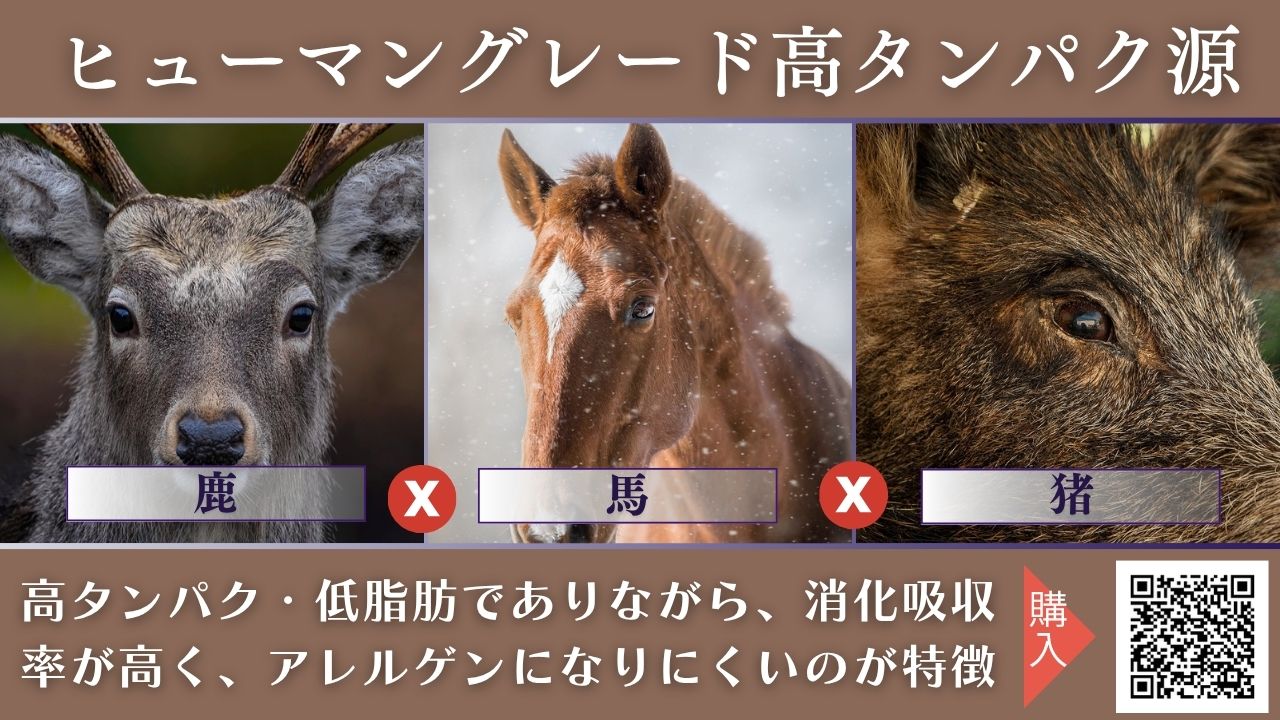 ほどよい堂の和漢相談とペットフード選びのイメージ