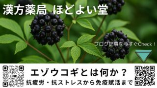エゾウコギとは何か？｜科学と伝統医学の視点から再評価する（抗疲労・抗ストレスから免疫賦活までを科学と中医学で解き明かす）