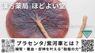 プラセンタ/紫河車とは？補腎・養血・安神を叶える“胎盤の力”──最新研究と中医学的活用法【中医学×現代科学】