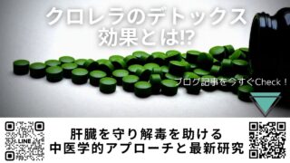 クロレラの効果とは⁉｜肝臓を守り解毒を助ける中医学的アプローチと最新研究【宮崎県・ほどよい堂のLINE無料漢方相談ガイド】