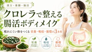 クロレラで整える腸活ボディメイク｜疲れにくい体をつくる栄養・吸収・循環の3本柱