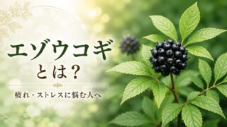 エゾウコギとは？疲れ・ストレスに悩む人へ｜薬剤師が体質別に解説