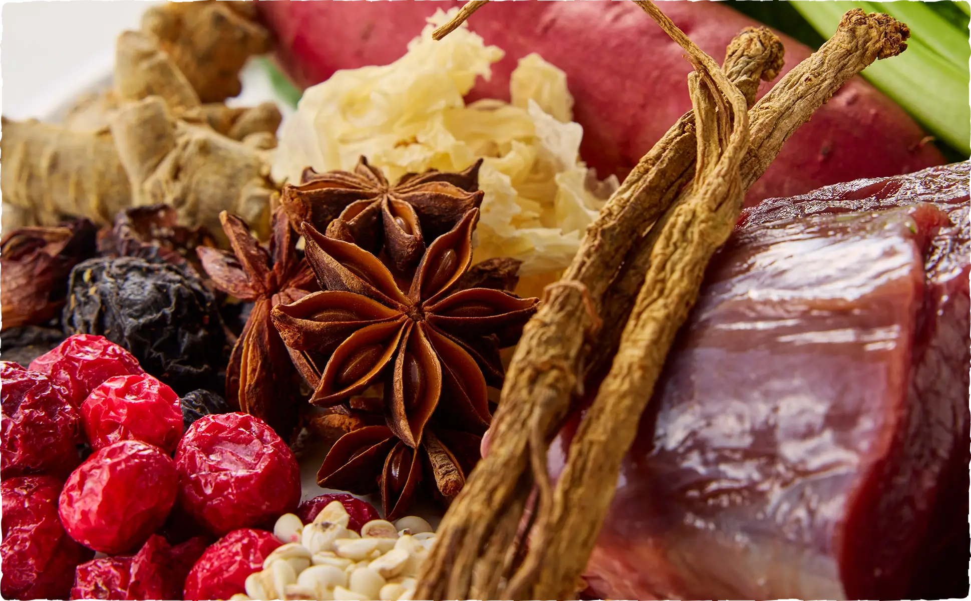 五臓六腑バランスを整える 和漢みらいドッグフード(中医学イメージ)