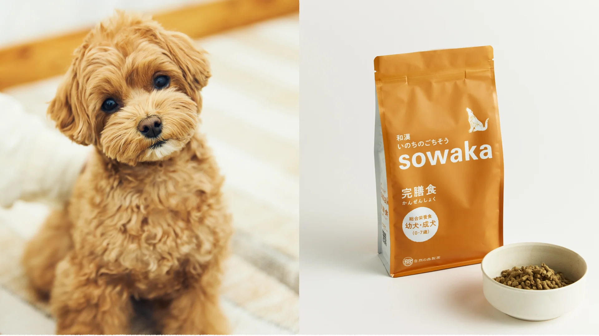 体質を整えるイメージ