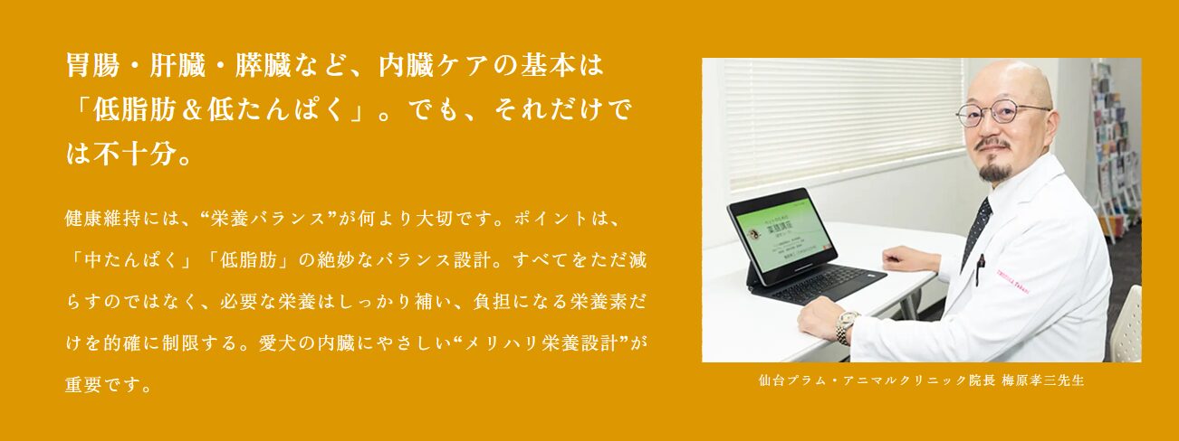 和漢みらいドッグフード 誕生秘話|自然の森製薬×漢方獣医師が作る食べる薬膳