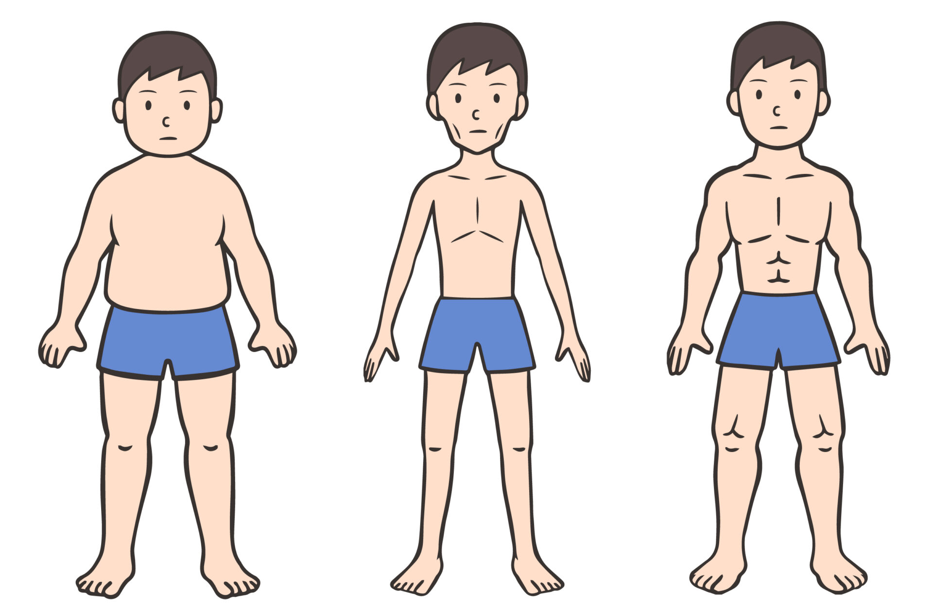 体型から漢方体質を判別する虚実タイプの比較イラスト【ほどよい堂】