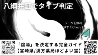 八綱弁証でタイプ判定｜「陰陽」を決定する完全ガイド【宮崎県川南町/漢方薬局ほどよい堂】