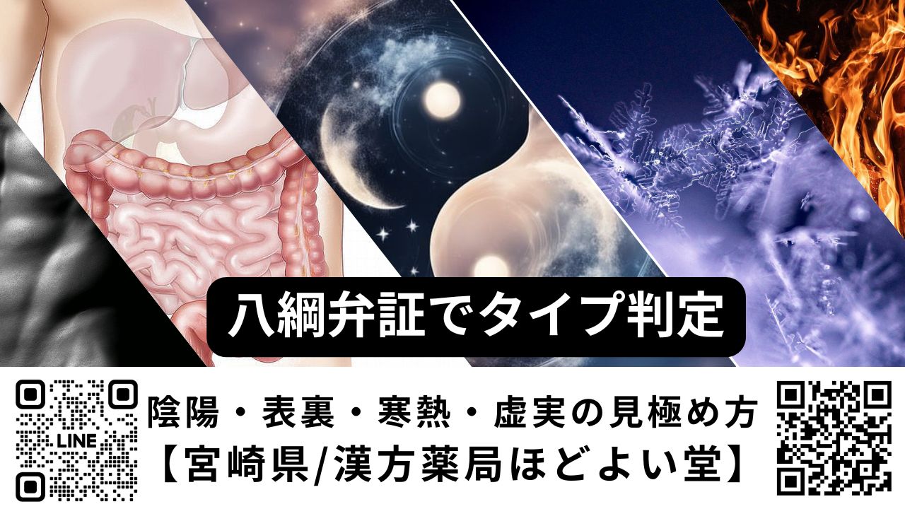 八綱弁証（表裏・寒熱・虚実・陰陽）で体質を見立てるイメージ｜ほどよい堂