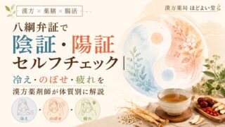 八綱弁証で陰証・陽証セルフチェック|冷え・のぼせ・疲れを漢方薬剤師が体質別に解説