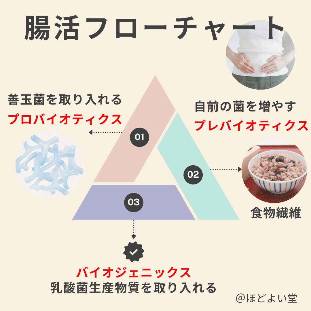 腸活の流れをイメージしたフローチャート