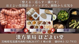 【宮崎県川南町】ほどよい堂の漢方相談｜症状別（胃腸・頭痛・冷え・不眠・肌・婦人科）×体質診断で根本改善