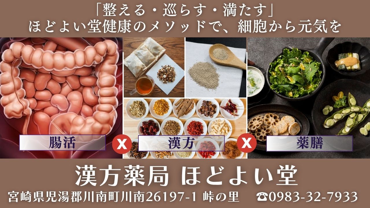 腸活×漢方×薬膳で細胞から元気を整える健康法を紹介する画像（ほどよい堂）
