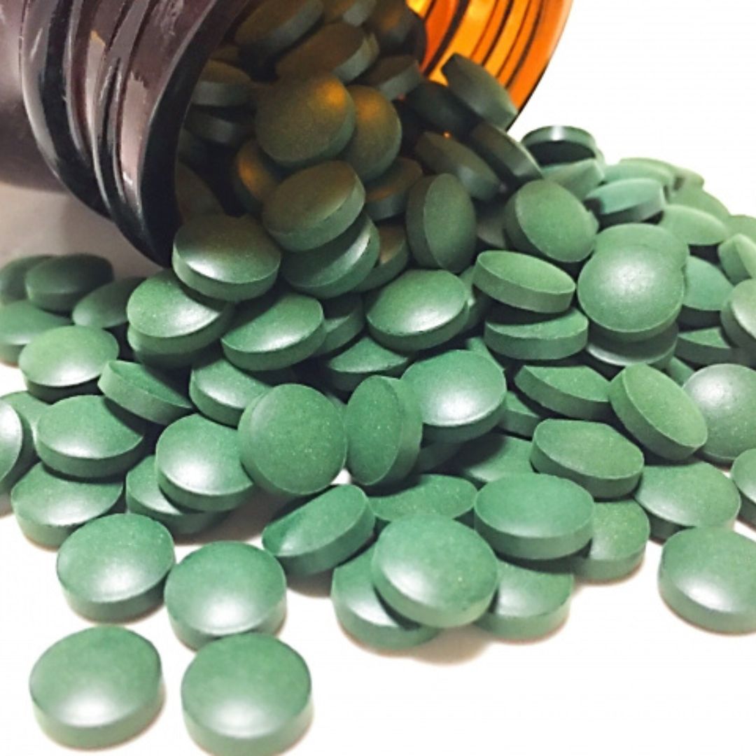 バイオリンク粒(チクゴ株クロレラ)の粒イメージ