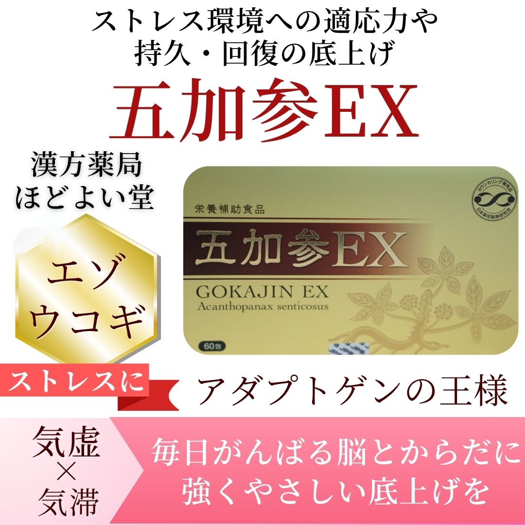 五加参EX エゾウコギ配合 健康補助食品 漢方薬局ほどよい堂取扱商品