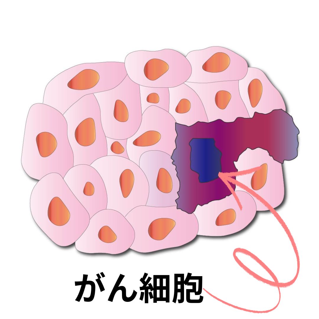 サルベストロールとがん関連情報のイメージ