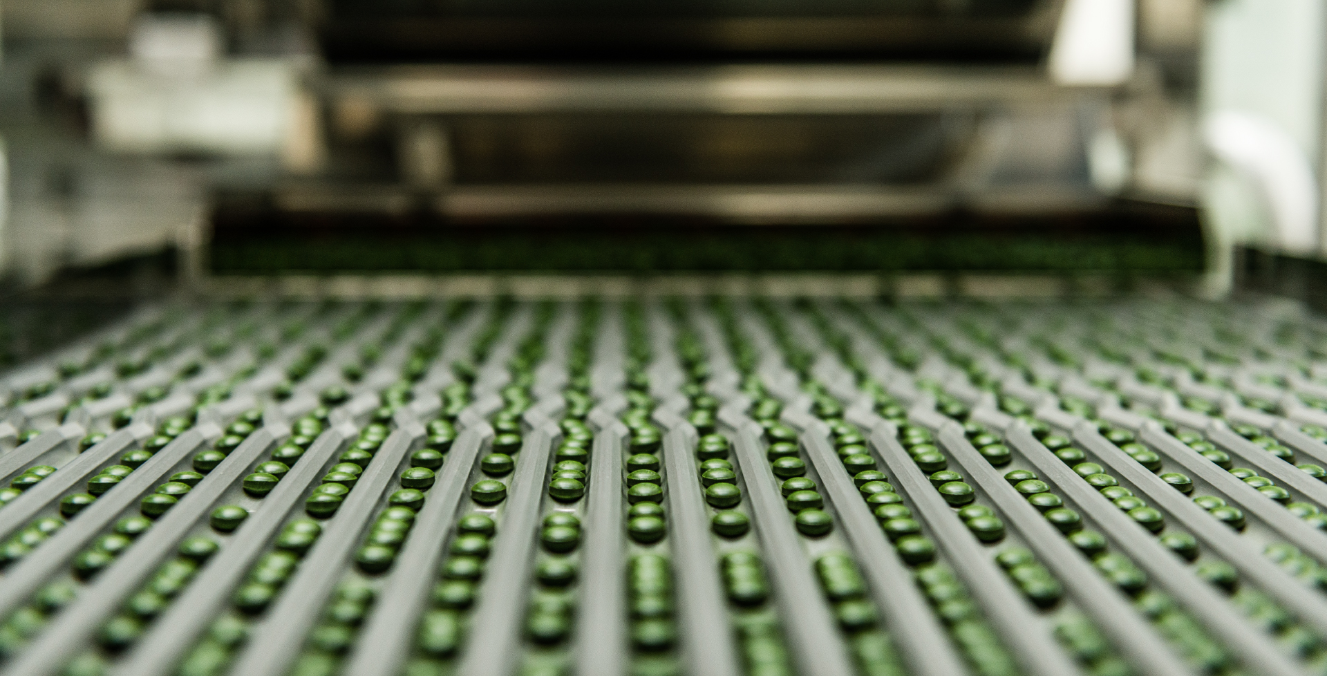 チクゴ株クロレラ（バイオリンク）｜腸活・栄養補給を毎日の習慣に