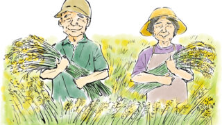 【60代女性シニア農家の関節痛・高血圧対策】風湿散寒×カリウム豊富なクロレラで巡り改善|中医学と腸活で根本ケアする方法|宮崎・ほどよい堂LINE無料漢方相談